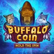 Buffalo Coin Hold The Spin screenshot